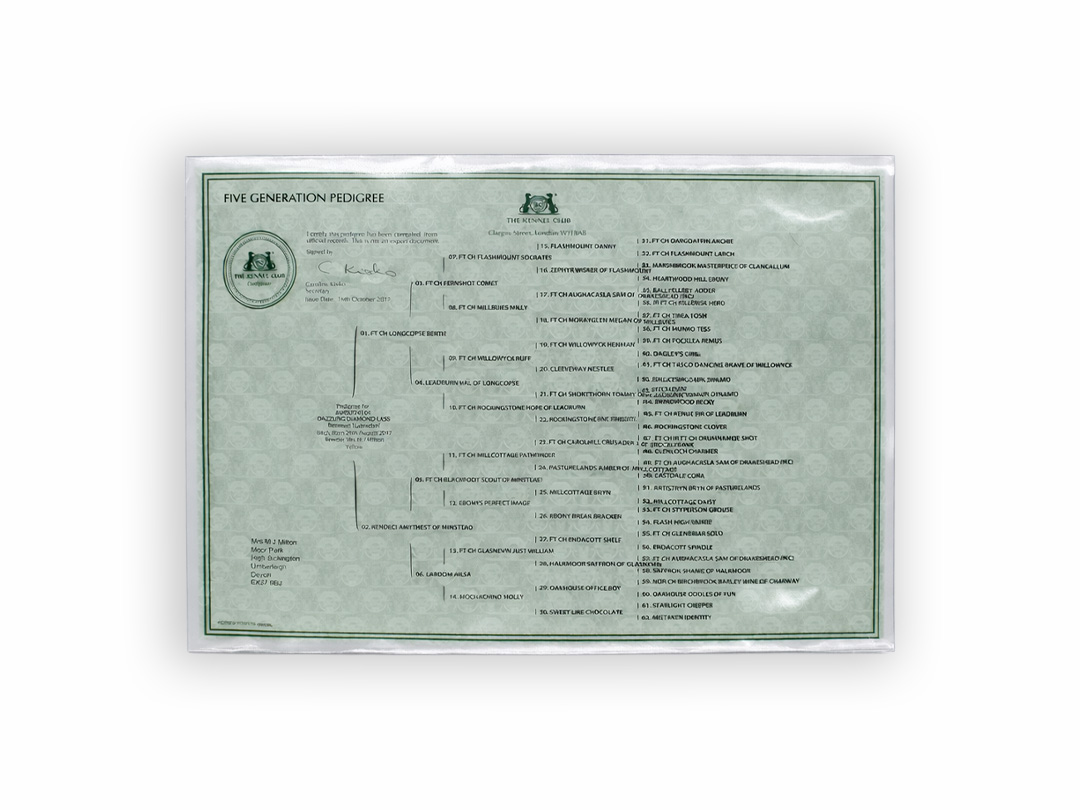Pet Certificate - HP wallet